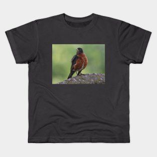 A Puffy Robin Kids T-Shirt